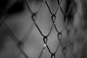 barbed wire: a metaphor for barriers to government benefits