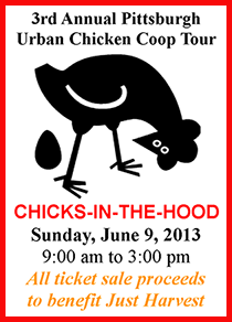 Chicks in the Hood