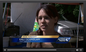 Emily Schmidlapp on WTAE TV news