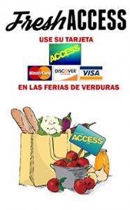 Fresh-Access-Brochure-Spanish-cover