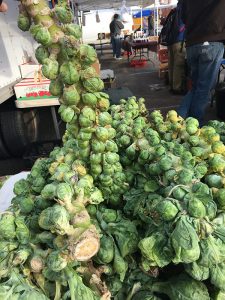 Musser Farm brussel sprouts at farmers market
