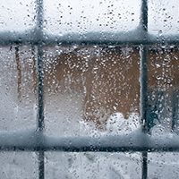 photo of frozen window by Igor Stevanovic