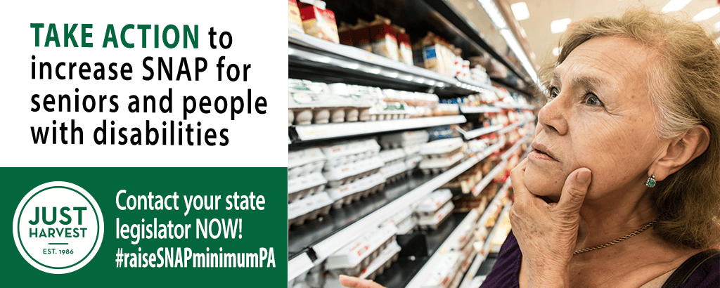 Take action to increase SNAP for seniors and people with disabilities. Contact your state legislator NOW! #raiseSNAPminimumPA (senior woman in grocery store)